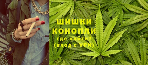 PSILOCYBIN Абаза