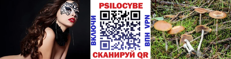 Галлюциногенные грибы Psilocybine cubensis купить сайты mega маркетплейс Гусиноозёрск