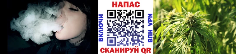закладки  Гусиноозёрск  МАРИХУАНА White Widow 